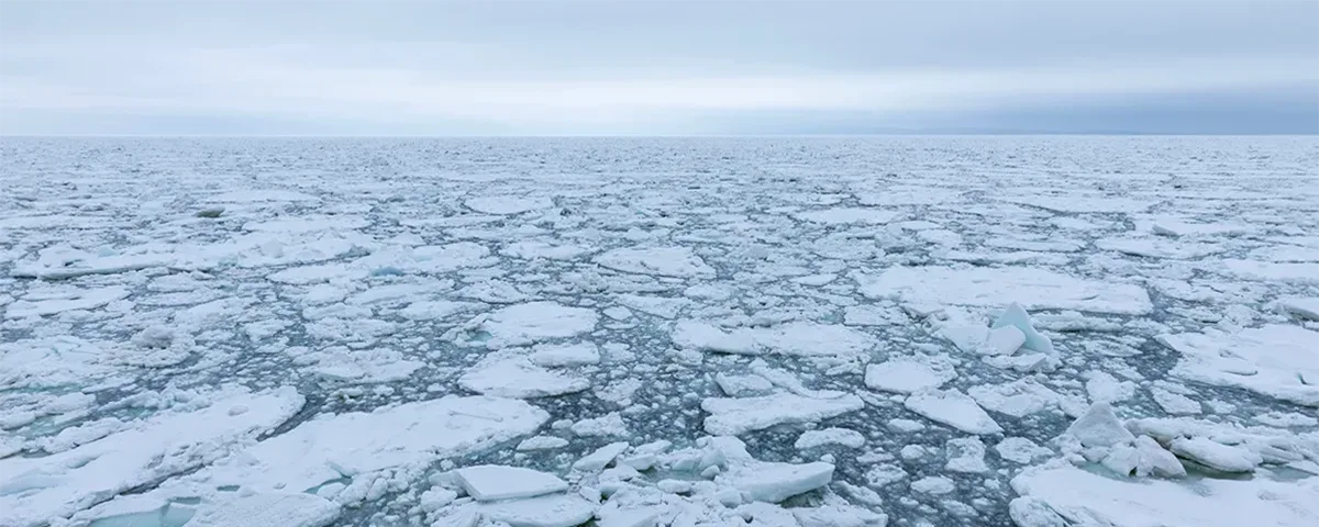 ЛЕДОХОД